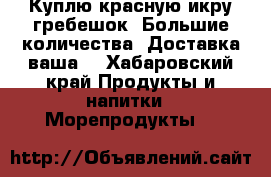 Куплю красную икру,гребешок. Большие количества. Доставка ваша. - Хабаровский край Продукты и напитки » Морепродукты   